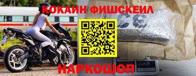 дмт Кингисепп