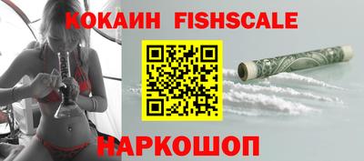 дмт Кингисепп