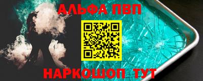 дмт Кингисепп