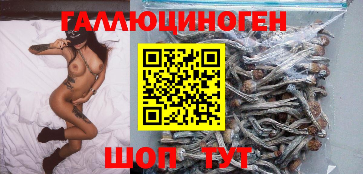 Галлюциногенные грибы GOLDEN TEACHER Сочи